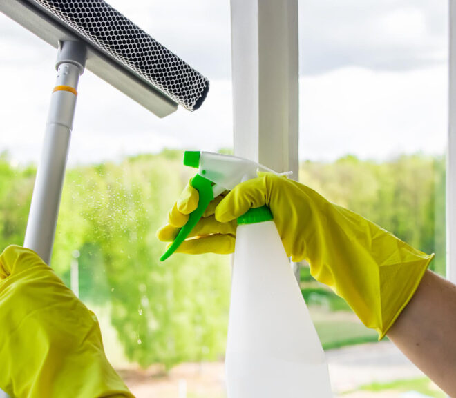 Karcher čistilec za okna vam bo močno olajšal delo